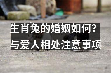 <h3>生肖兔的婚姻如何？与爱人相处注意事项
