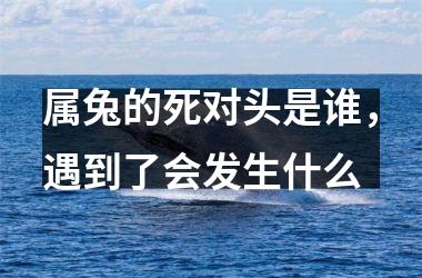 属兔的死对头是谁，遇到了会发生什么