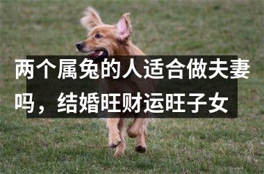两个属兔的人适合做夫妻吗，结婚旺财运旺子女