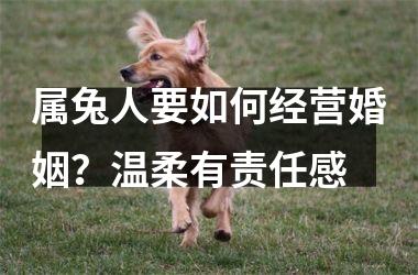 属兔人要如何经营婚姻？温柔有责任感