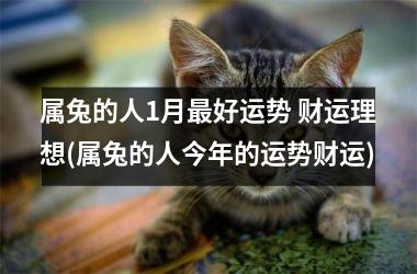 属兔的人1月好运势 财运理想(属兔的人今年的运势财运)
