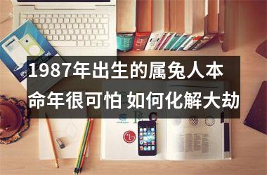 1987年出生的属兔人本命年很可怕 如何化解大劫
