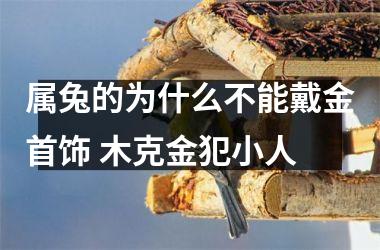 属兔的为什么不能戴金首饰 木克金犯小人