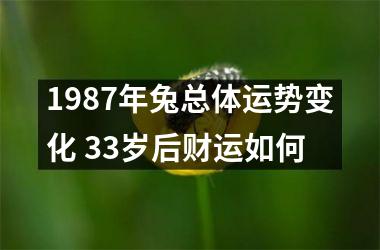 <h3>1987年兔总体运势变化 33岁后财运如何