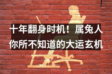 十年翻身时机！属兔人你所不知道的大运玄机