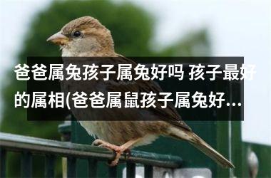 爸爸属兔孩子属兔好吗 孩子好的属相(爸爸属鼠孩子属兔好不好,会不会合得来)
