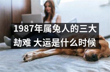 1987年属兔人的三大劫难 大运是什么时候