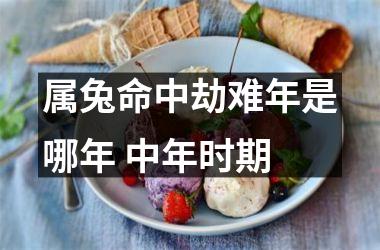 属兔命中劫难年是哪年 中年时期