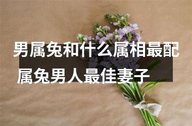 男属兔和什么属相配 属兔男人佳妻子