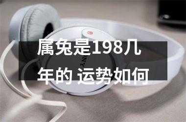 属兔是198几年的 运势如何