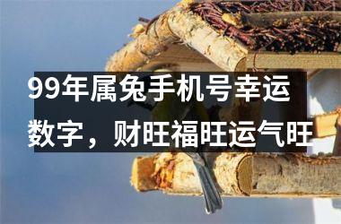 99年属兔手机号幸运数字，财旺福旺运气旺
