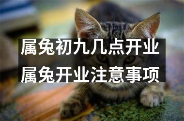属兔初九几点开业 属兔开业注意事项