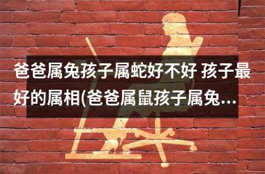 爸爸属兔孩子属蛇好不好 孩子好的属相(爸爸属鼠孩子属兔好不好,会不会合得来)