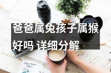 <h3>爸爸属兔孩子属猴好吗 详细分解