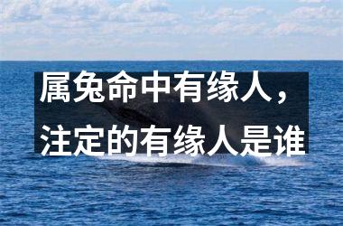 属兔命中有缘人，注定的有缘人是谁