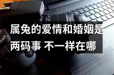 属兔的爱情和婚姻是两码事 不一样在哪