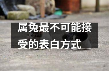 属兔不可能接受的表白方式
