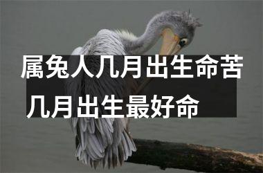 属兔人几月出生命苦 几月出生好命