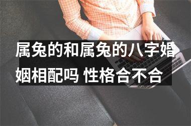 属兔的和属兔的八字婚姻相配吗 性格合不合