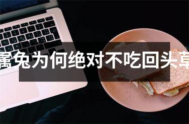 <h3>属兔为何绝对不吃回头草
