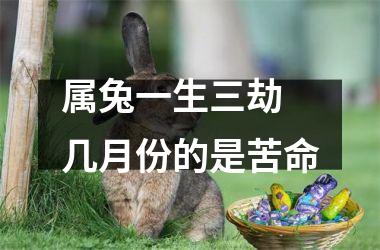 属兔一生三劫 几月份的是苦命