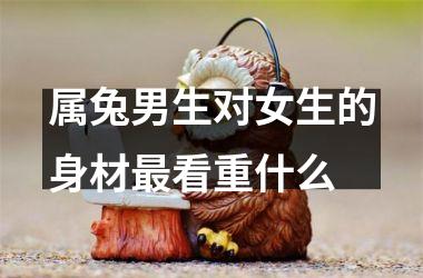属兔男生对女生的身材看重什么