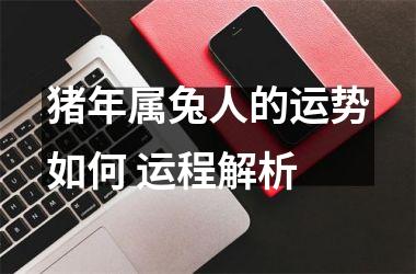 <h3>猪年属兔人的运势如何 运程解析