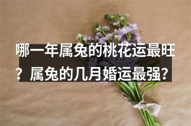 哪一年属兔的桃花运旺？属兔的几月婚运强？