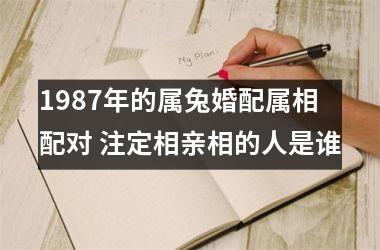 1987年的属兔婚配属相配对 注定相亲相的人是谁