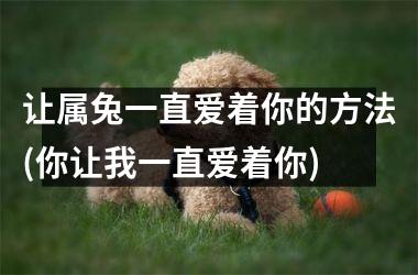 让属兔一直爱着你的方法(你让我一直爱着你)