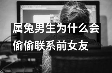 属兔男生为什么会偷偷联系前女友