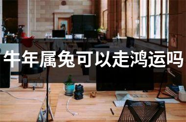 牛年属兔可以走鸿运吗