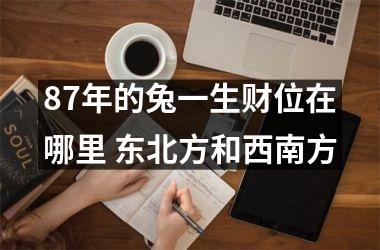 87年的兔一生财位在哪里 东北方和西南方