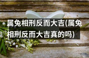 <h3>属兔相刑反而大吉(属兔相刑反而大吉真的吗)
