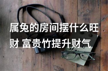 属兔的房间摆什么旺财 富贵竹提升财气