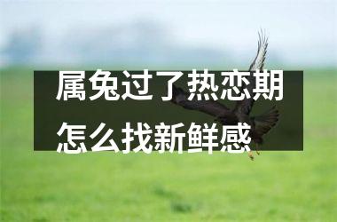 属兔过了热恋期怎么找新鲜感