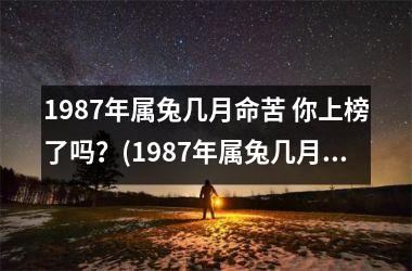 1987年属兔几月命苦 你上榜了吗？(1987年属兔几月命苦)