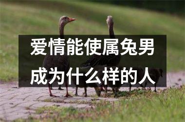 爱情能使属兔男成为什么样的人