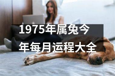 1975年属兔今年每月运程大全