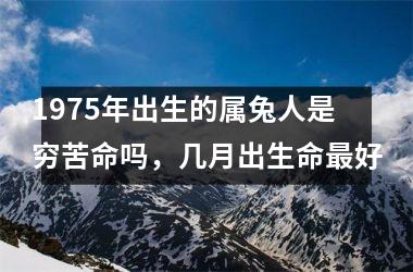 1975年出生的属兔人是穷苦命吗，几月出生命好