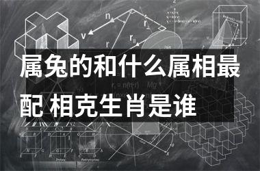 属兔的和什么属相配 相克生肖是谁