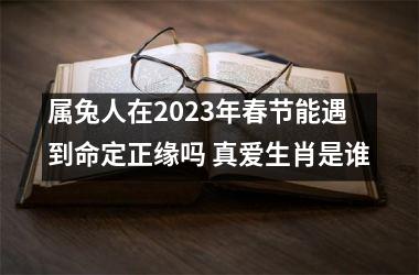 属兔人在2025年春节能遇到命定正缘吗 真爱生肖是谁