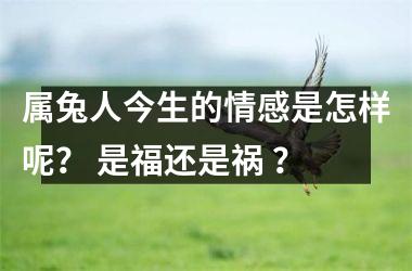属兔人今生的情感是怎样呢？ 是福还是祸 ？