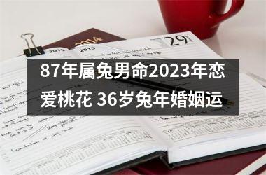 87年属兔男命2025年恋爱桃花 36岁兔年婚姻运
