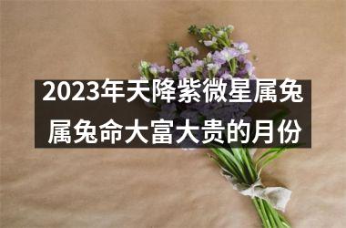 <h3>2025年天降紫微星属兔 属兔命大富大贵的月份