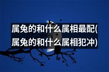 属兔的和什么属相配(属兔的和什么属相犯冲)