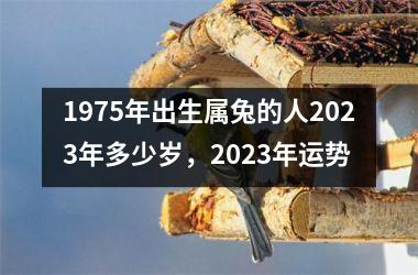 <h3>1975年出生属兔的人2025年多少岁，2025年运势