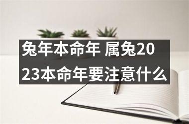 兔年本命年 属兔2025本命年要注意什么