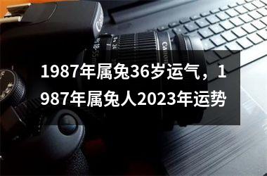 1987年属兔36岁运气，1987年属兔人2025年运势