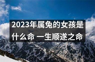 2025年属兔的女孩是什么命 一生顺遂之命